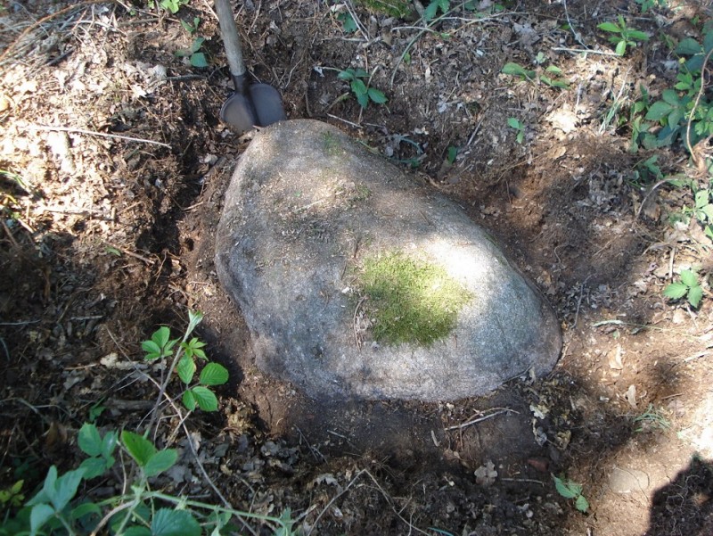 Van Heekbleeklaan Horstlanden Markesteen (32.36-07) liggende op grens van de Lonneker- (32) en  Drienermarke (36) Rijhksmonument 46606.jpg