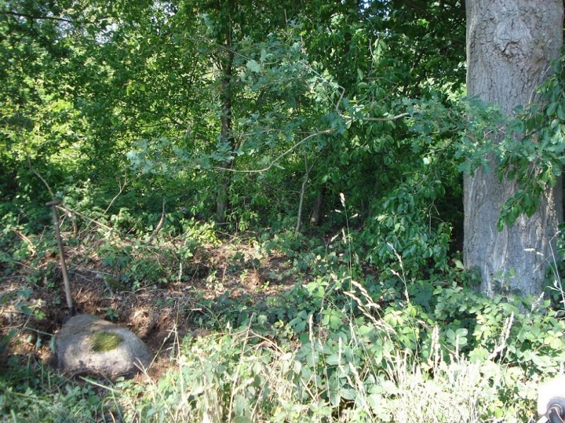 Van Heeksbleeklaan Horstlanden Markesteen (32.36-07) liggende op grens van de Lonneker-  en  Drienermarke Rijksmonument 46606 .jpg