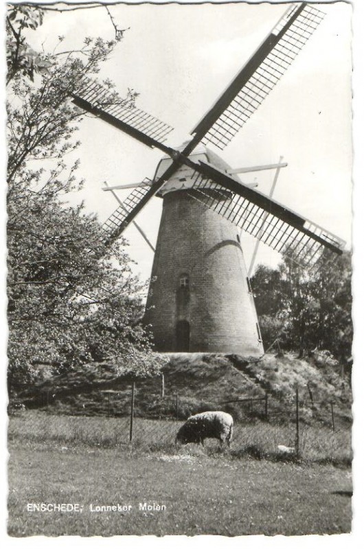 Lonneker molen (6).JPG