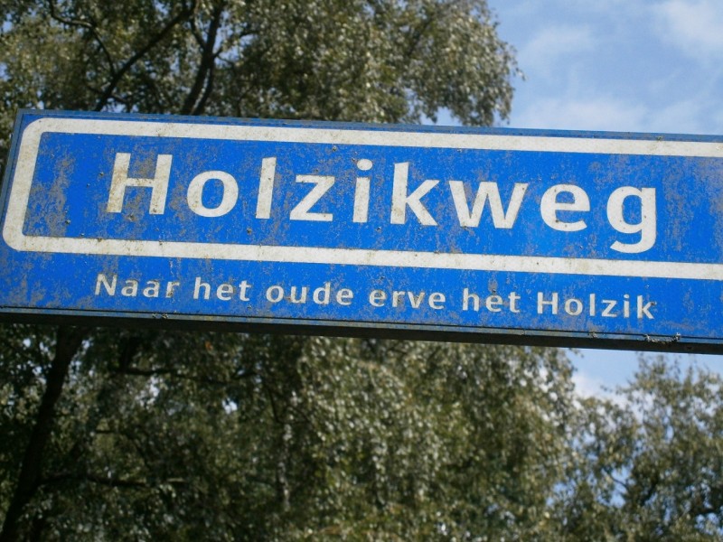 Holzikweg straatnaambord.JPG