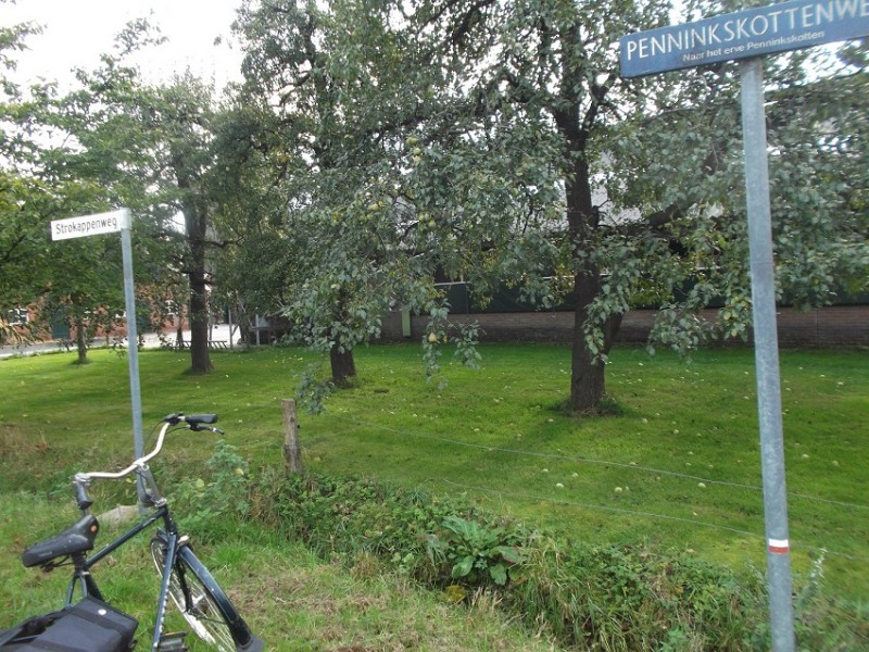 Penninkskottenweg  Grens tussen Enschede  en Losser Strokappenweg waar de steen Hendrik Beumer in het veld ligt.JPG