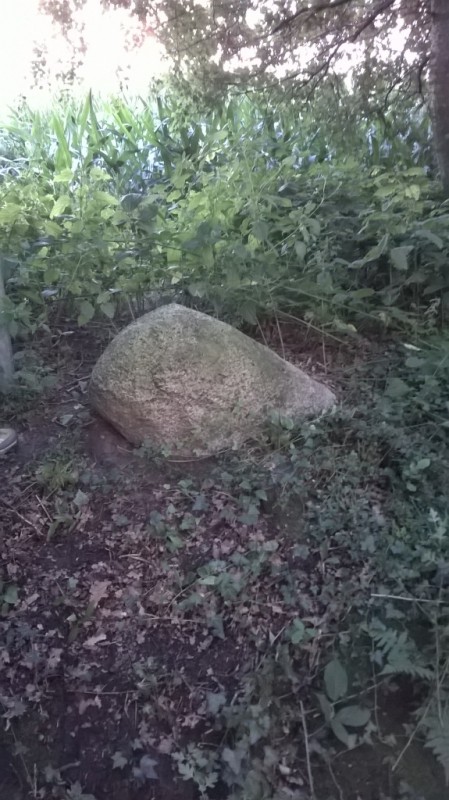 Sniedersveldweg Piermansteen (29.32.36) is het driemarkenpunt van de marken Hasselo, Lonneker en Groot Driene.jpg