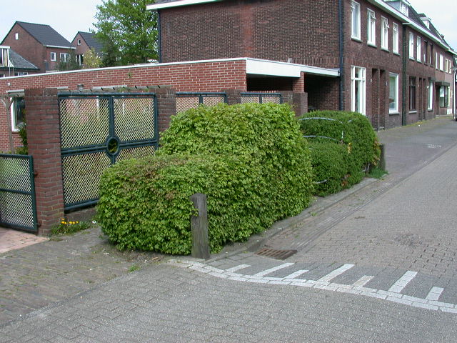 Esstraat, ter hoogte van de Oliemolensingel kunstwerk hegge-auto's.jpg