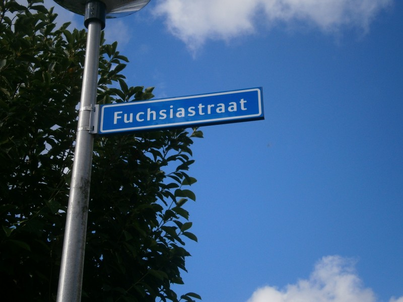 Fuchsiastraat straatnaambord.JPG