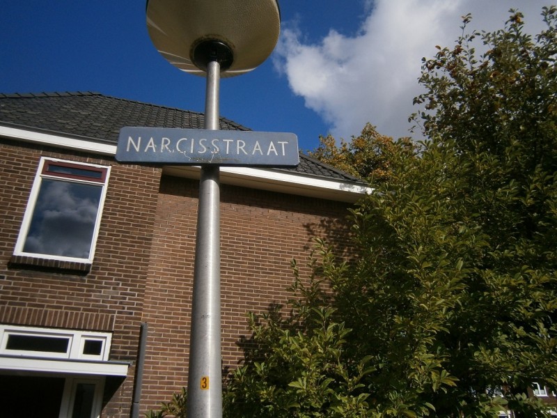 Narcisstraat straatnaambord.JPG