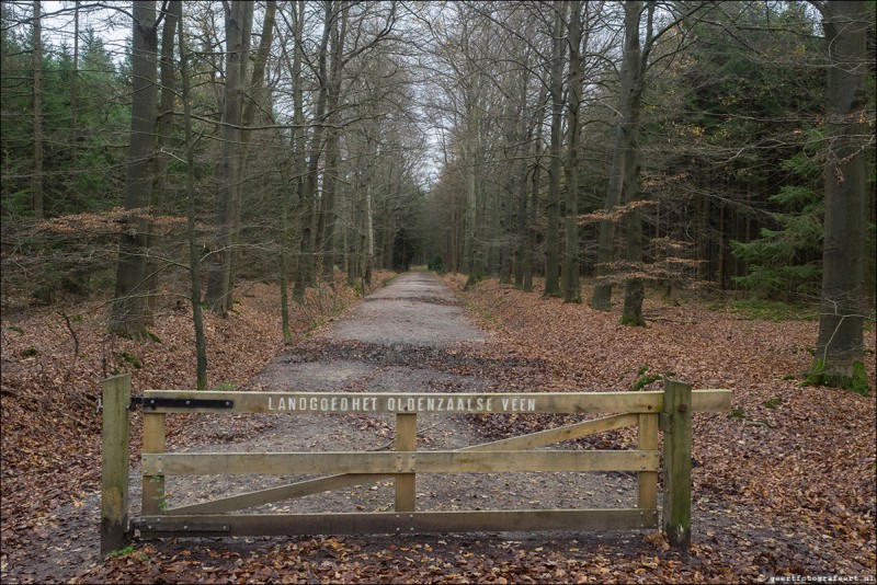 Lossersestraat landgoed Het Oldenzaalse Veen.jpg