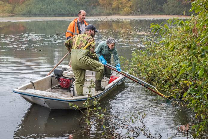 Lonnekermeer geeft geheimen prijs bij baggerwerkzaamheden.jpg