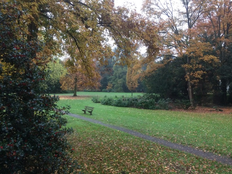 park de kotten nov 2018.jpg