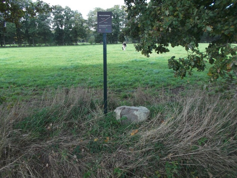 Hoge Boekelerweg steen op het Wachtveld .JPG