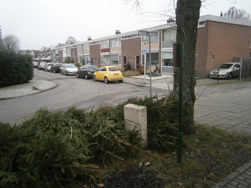 Pluvierstraat hoek Meeuwenstraat Markepaal Steen bij de Stroinksbleek.JPG