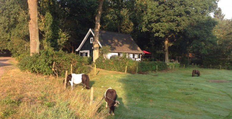 Teesinklandenweg 115 Boekelo Brookhuisje Bed en Breakfast..jpg