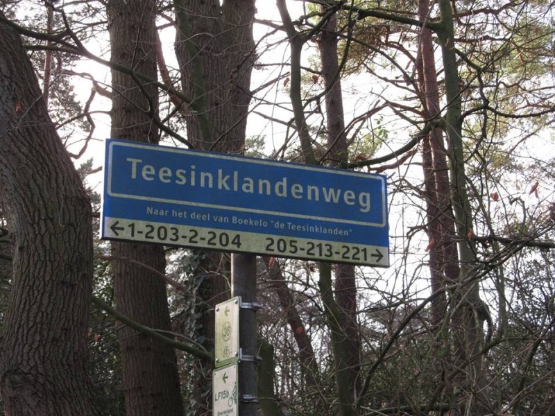 Teesinklandenweg straatnaambord.jpg