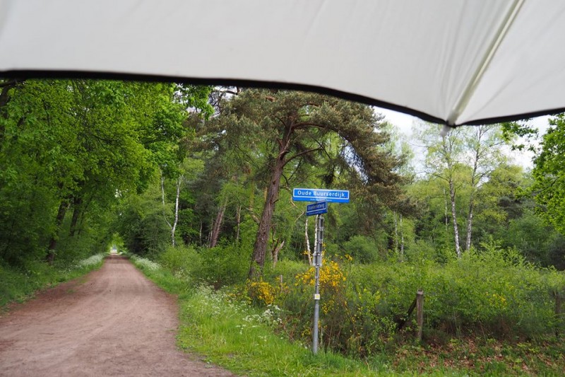 Oude Buurserdijk hoek Usselerrietweg.jpg