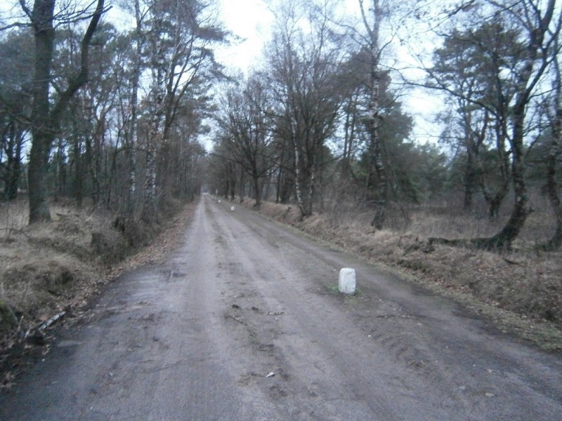 Oude Buurserdijk vanaf Leppeweg.JPG