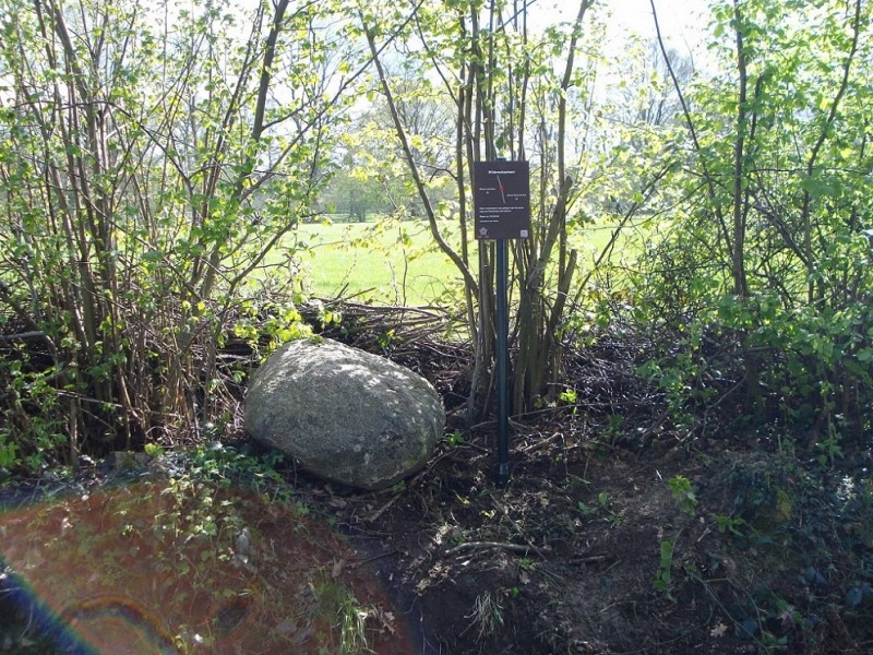 Witbreuksweg Witbreukssteen Markesteen Lonneker Groot Driene met monumentenbord.jpg