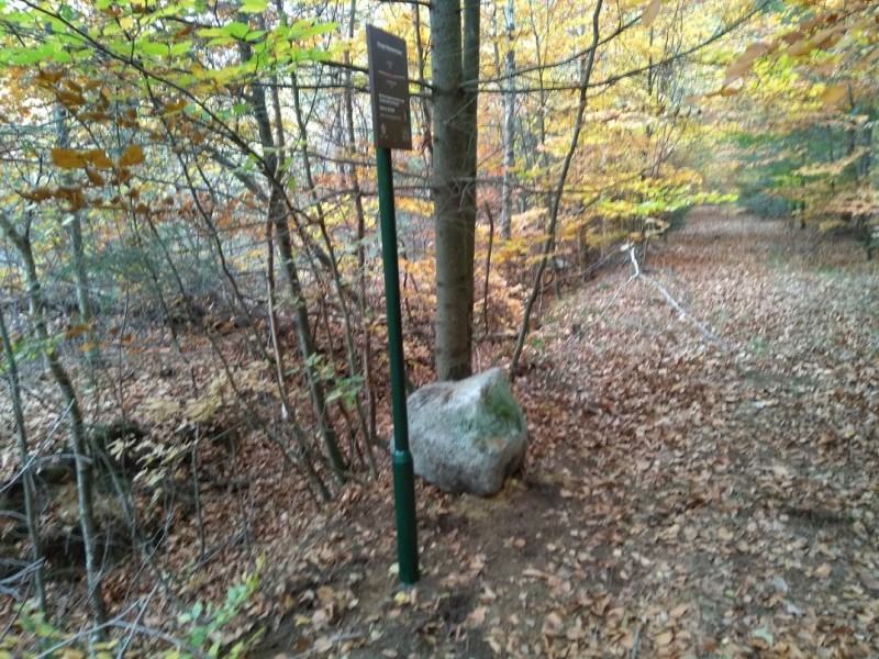 Hoge Boekelerweg 255 Hooge Boekelersteen met monumentenbord.jpg