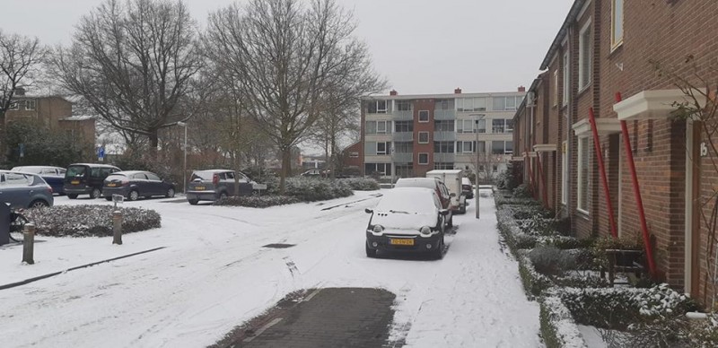 Adriaen van Ostadestraat sneeuw 23-1-2019 (4).jpg
