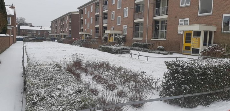 Adriaen van Ostadestraat sneeuw 23-1-2019.jpg