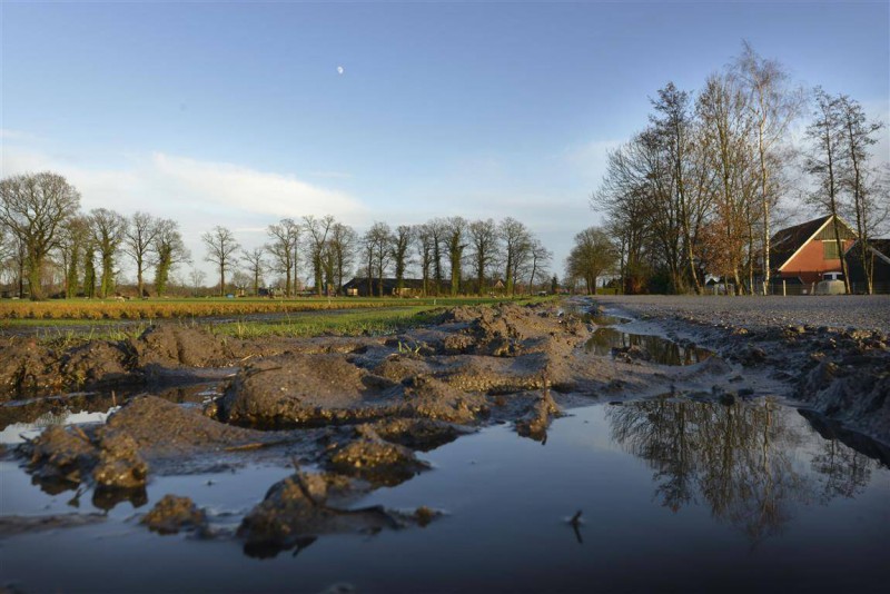 Ondanks drijfnatte weken in december en januari is de grond nog steeds droog.jpg