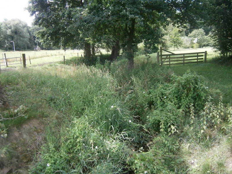 Roombeek in de buurt van Slagmanweg .JPG