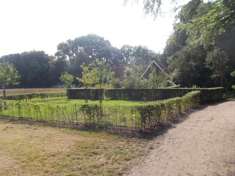 Ledeboerpark Lammerinkswönner tuin.JPG