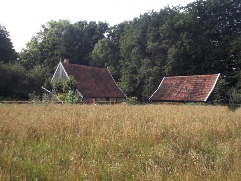 Ledeboerpark Lammerinkswönner met De Schuur graanveld .JPG