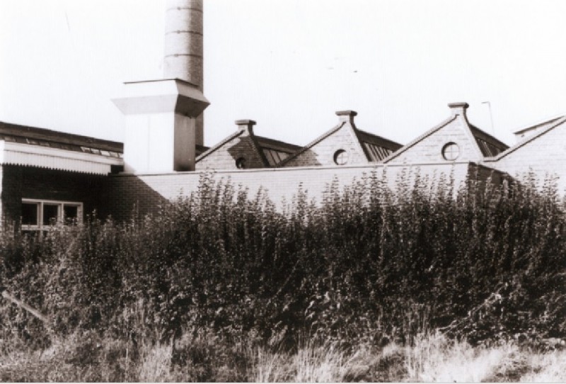 Emmastraat 191 Textielfabriek Van Dam. Zijaanzicht met scheddaken en fabriekspijp.jpg