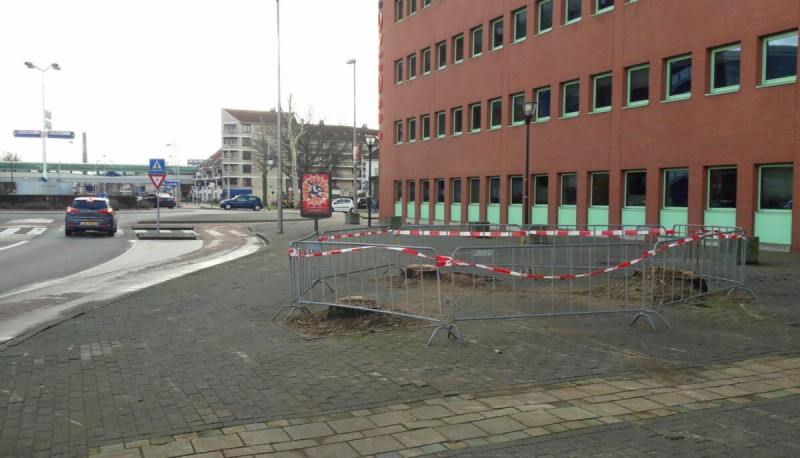 Nijverheidstraat Regiokantoor gekapte bomen voor Kop van Boulevard maart 2019.jpg
