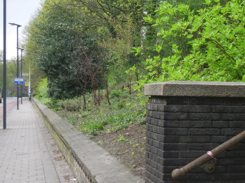 Parkweg trapje naar voormalig station staatsspoor3.jpg