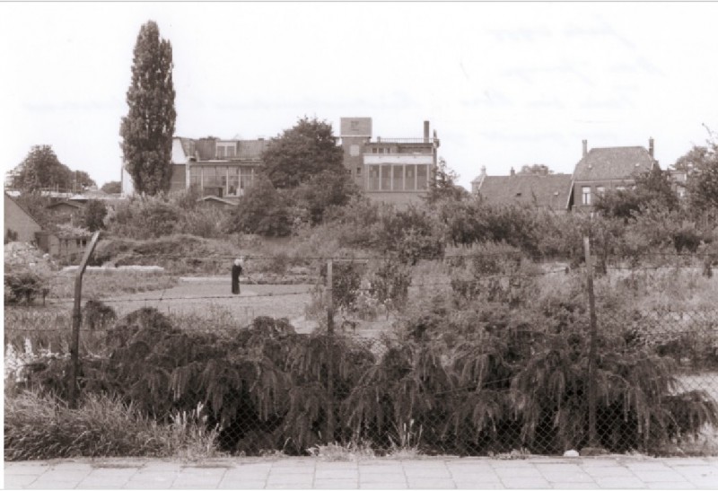 Rietmolenstraat Hoek Lombokstraat, tuin van hr. Kors, met zicht op Ziekenzorg 1955.jpg