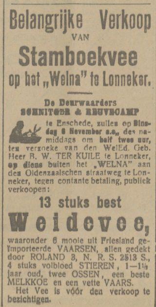Oldenzaalschen straatweg Lonneker het Welna B.W. ter Kuile advertentie Tubantia 2-11-1917.jpg