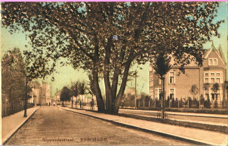 Ripperdastraat  villa Ledeboer 1915.jpg