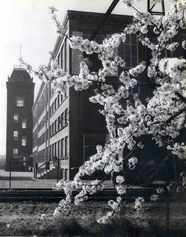 Goolkatenweg, spinnerij Oosterveld mei 1951.jpg