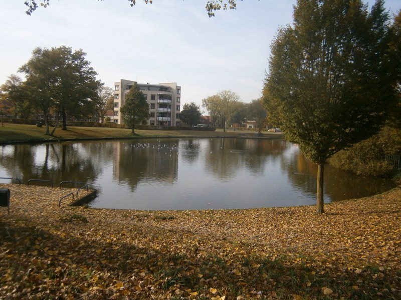 Weth. Haantjesstraat vijver Roberskom vroeger steenbakker Robers.JPG