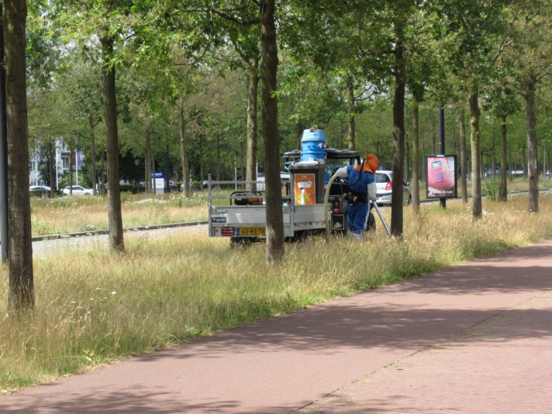 2019 07 02 EPR Hengelosestraat t.h.v. UT wordt de ERP bestreden...waarom niet bij sportvelden, speeltuinen etc (3).JPG