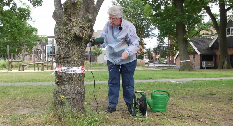 Attie (69) uit Enschede maakt korte metten met jeukrups ‘Leer ze mores met mijn verfbrander’.jpg