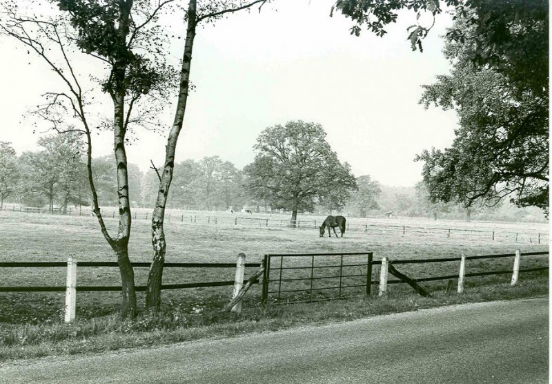 Allemansveldweg  Buitengebied 5-11-1983.jpg