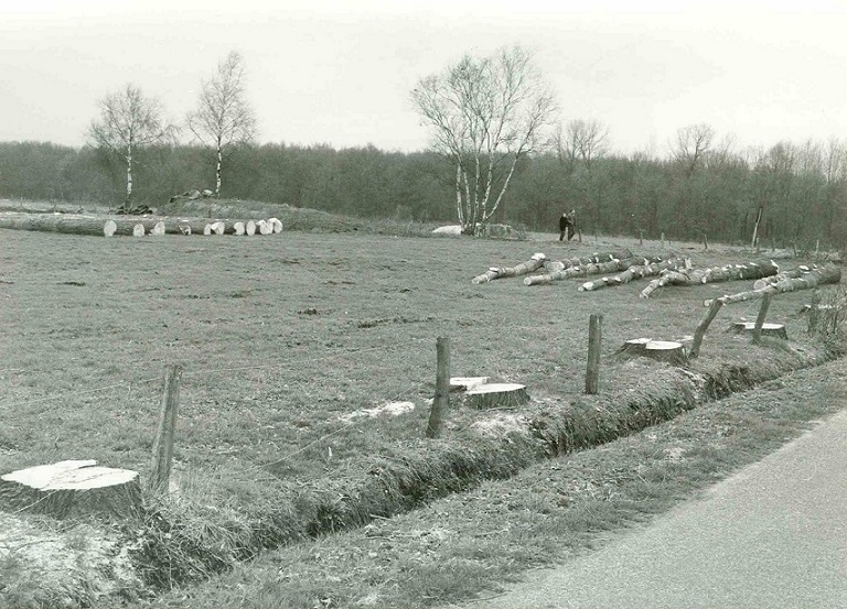 Allemansveldweg  Houtkap in het buitengebied april 1983.jpg