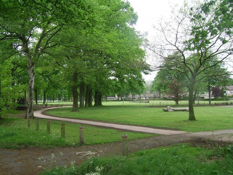 bomenpark stadsveld(4).jpg