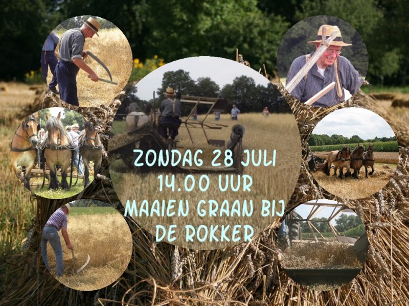 De Rokker.jpg