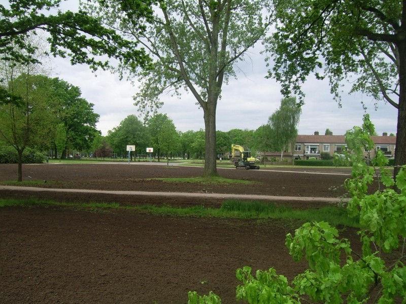 bomenpark stadsveld(2).jpg