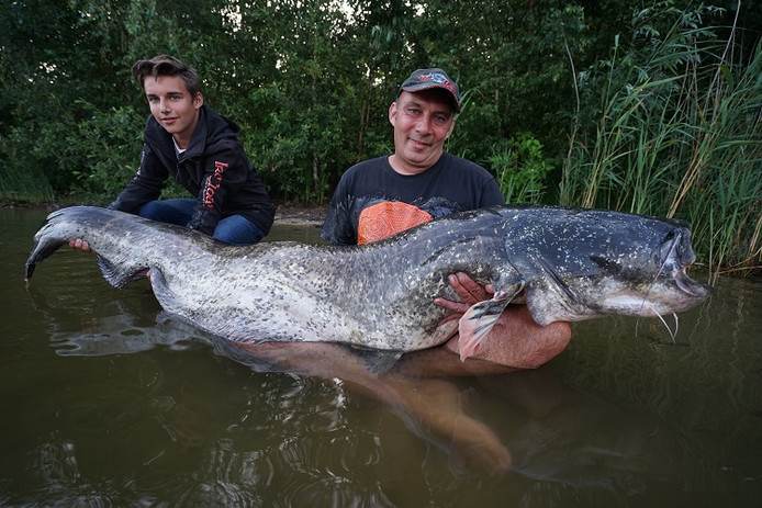 Monstervis gevangen in Enschede Nederlands record verbroken.jpg