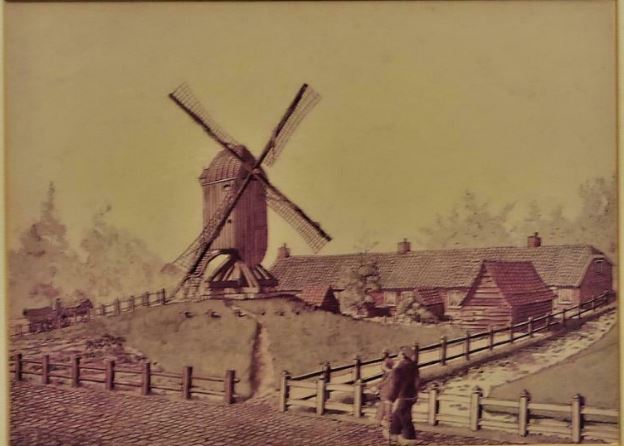 zuidmolen 2.JPG