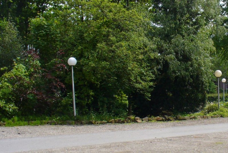 In de buurt van het raadpand.JPG