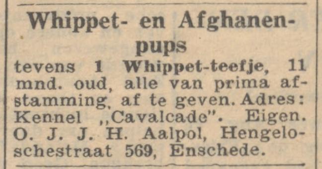 Hengelosestraat 569 O.J.J.H. Aalpol advertentie 24-8-1946.jpg