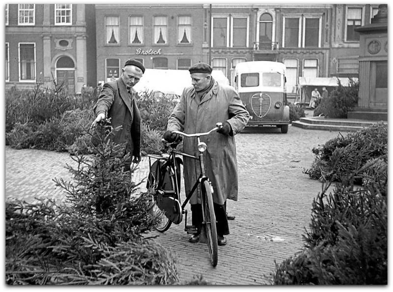 Oude Markt Verkoop van kerstbomen 1960.jpg