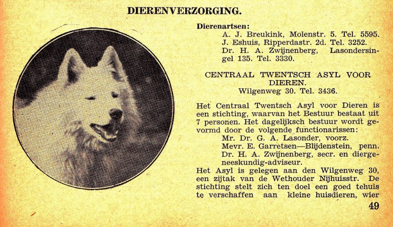 Wilgenweg 30 Dierenasiel.jpg