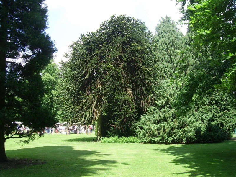 Kunst in het Volkspark 004.JPG