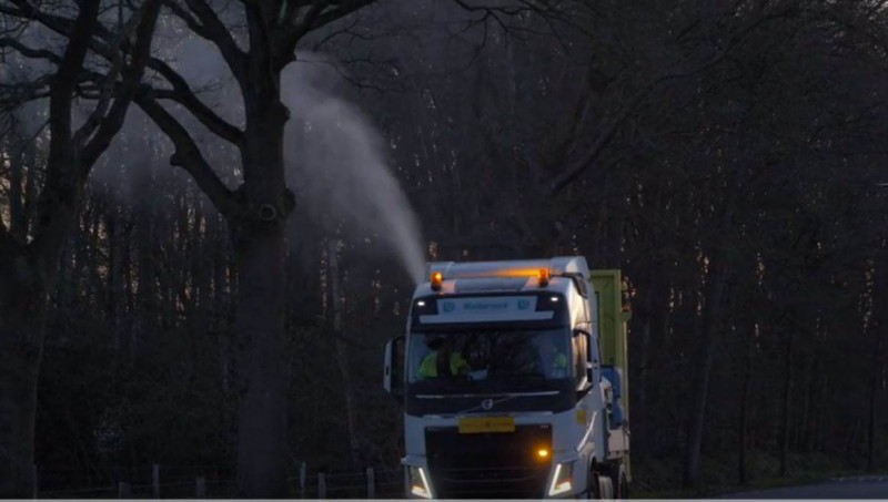 Enschede begint met preventieve bestrijding eikenprocessierups.jpg