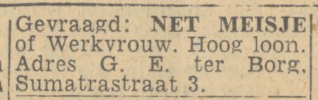 Sumatrastraat 3 G.E. ter Borg advertentie Twentsch nieuwsblad 4-3-1944.jpg